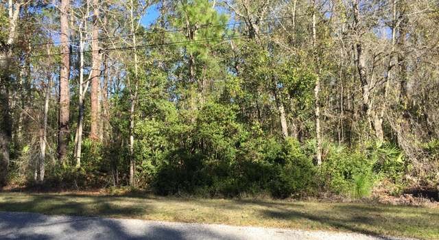Photo of 4539 Tarragon Ave, Middleburg, FL 32068