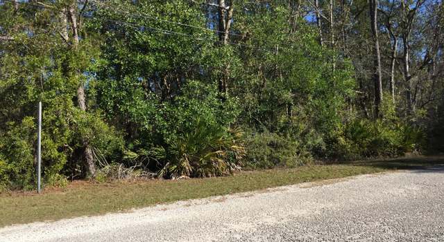 Photo of 4539 Tarragon Ave, Middleburg, FL 32068