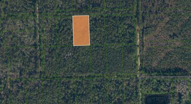 Photo of 0 Goshawk Rd, Palatka, FL 32177