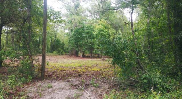 Photo of 10100 Oliver Ave, Hastings, FL 32145