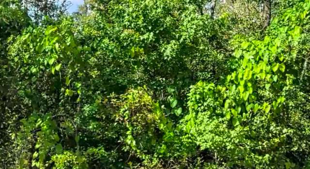 Photo of 0 Beaver, Jacksonville, FL 32220