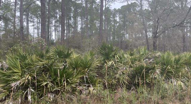 Photo of 5060 Kenneth St, Hastings, FL 32145