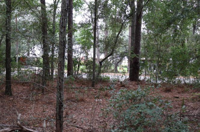 foreclosed homes on bedford lake keystone heights florida foreclosed homes on bedford lake keystone heights florida