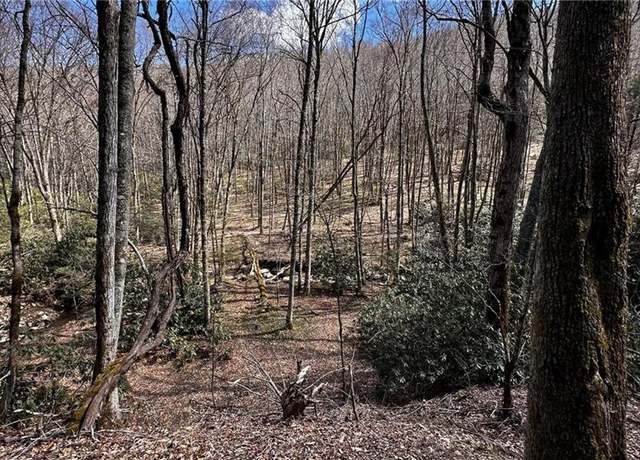 Property at 000 Nc Highway 194, Banner Elk, NC 28604