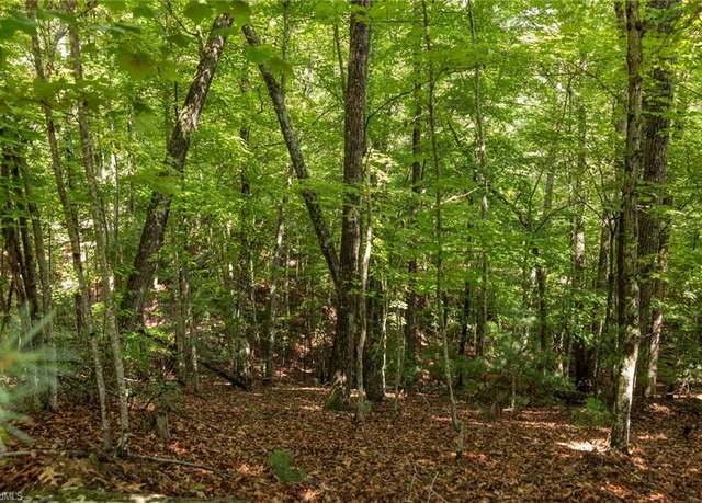 Property at Lot 158 Carriage House Trl, Mcgrady, NC 28649