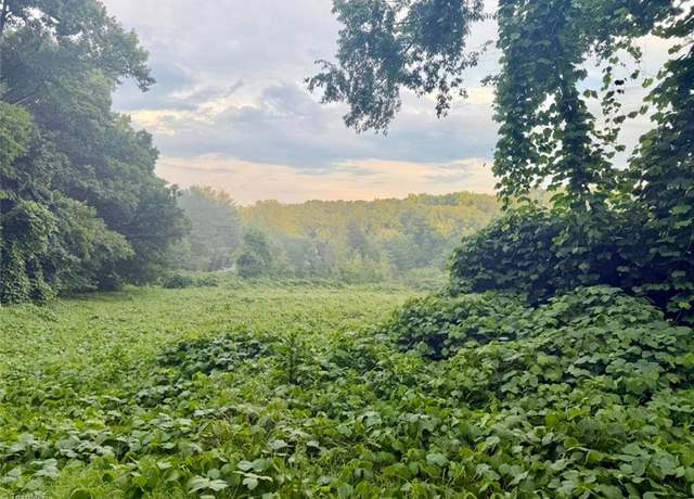 Property at 0000 Augusta Hicks Rd, Walnut Cove, NC 27052