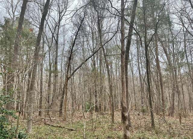 Property at 0 Pineview Rd, Goldston, NC 27252