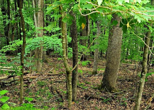 Property at TBD Red Fox Trl, Boone, NC 28607