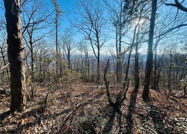Property at TBD Reflection Point Trl, Fancy Gap, VA 24328