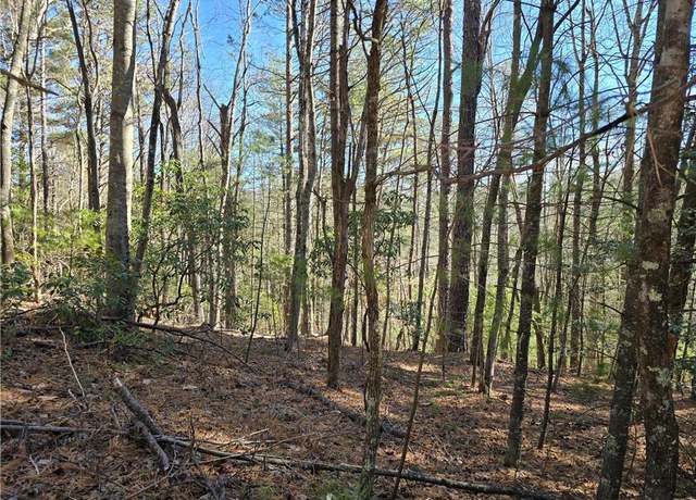 Property at TBD Timber Ridge Rd, Millers Creek, NC 28651