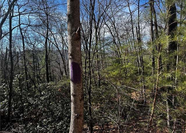 Property at Lot 209 Casey Mountain Rd, Purlear, NC 28665