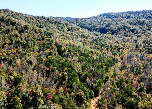 Property at TBD Foster Payne Rd, Boomer, NC 28606