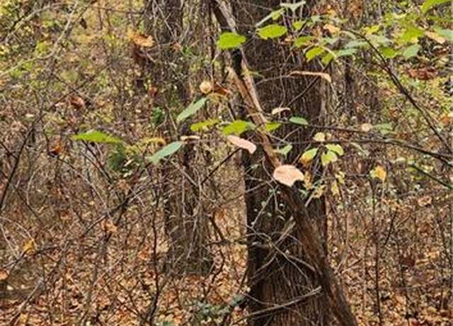 Property at TBD Us Highway 21, Thurmond, NC 28683