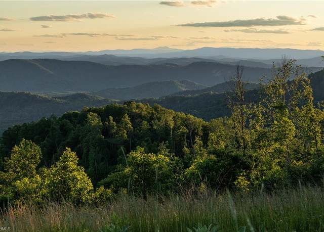 Property at 000 Swaringen Rd, Traphill, NC 28685