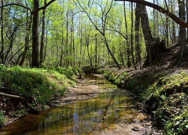 Property at 01 Dibrell Rd Unit 80 AC South Tract, Pelham, NC 27311