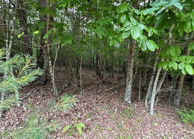 Property at TBD Live Oak Ln, Galax, VA 24333