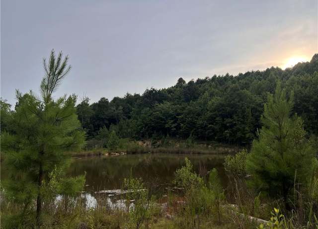 Property at 0 Cedar Forest Rd, Franklinville, NC 27248