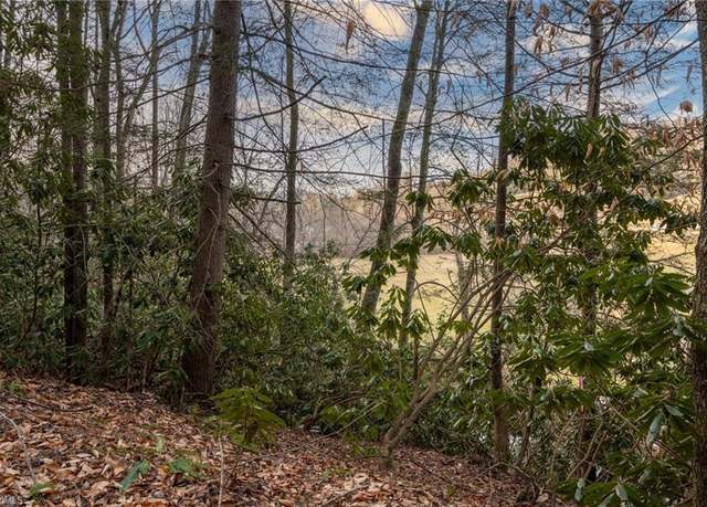 Property at TBD Parsonsville Rd, Purlear, NC 28665