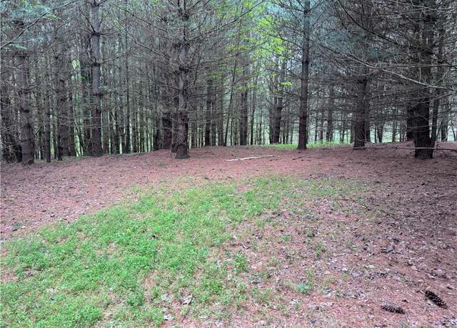 Property at x Green Meadow Ln Unit 5 Ac S, Ararat, NC 27007
