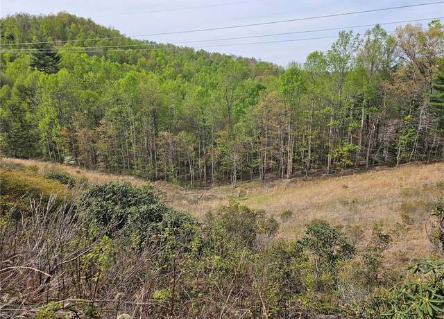 Property at Off N Nc Highway 16, Millers Creek, NC 28651