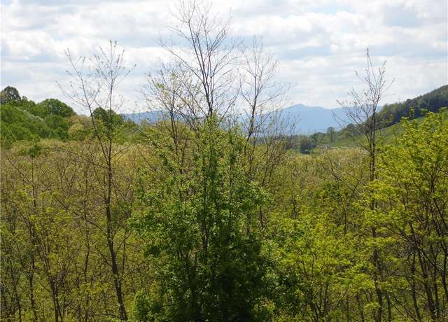 Property at TBD Ginkgo Dr, Laurel Springs, NC 28644