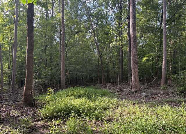 Property at 7149 Nature Rd, Liberty, NC 27298