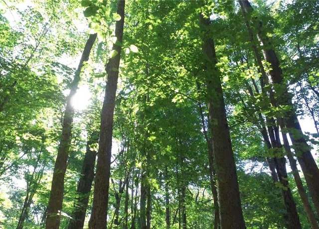 Property at 00 Lasater Rd, Clemmons, NC 27012