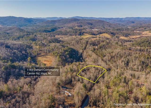 Property at 1165 Dehart Community Ctr Rd, Hays, NC 28635