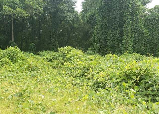 Property at 2010 Statesville Rd, North Wilkesboro, NC 28659