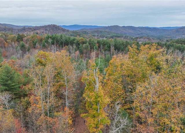 Property at TBD Us Highway 421, Ferguson, NC 28624