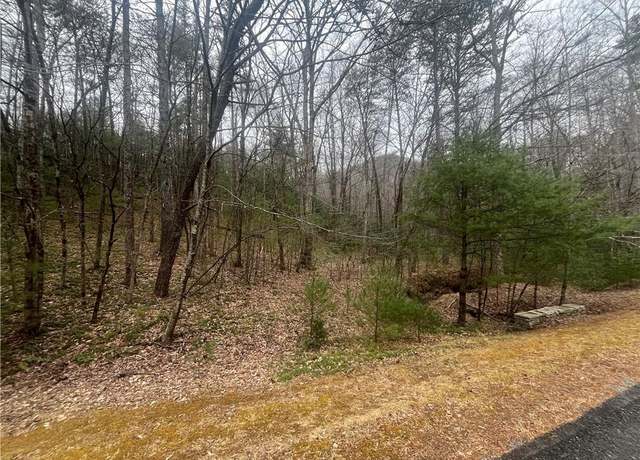 Property at TBD Jonathan Dr, Lowgap, NC 27024