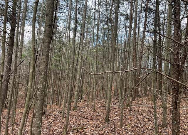 Property at Lot 12 Fisher Valley Rd, Dobson, NC 27017
