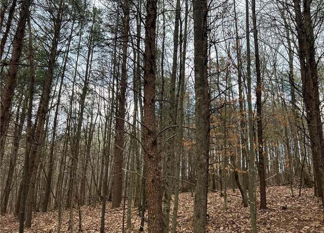 Property at Lot 14 Fisher Valley Rd, Dobson, NC 27017