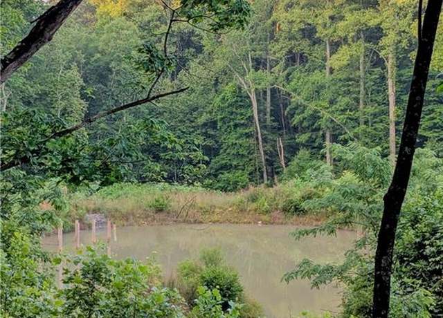 Property at 00 Johnson Creek Rd, Ararat, VA 24053