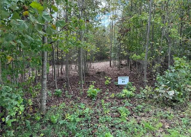 Property at Lot 41 Rc Rd, Traphill, NC 28685