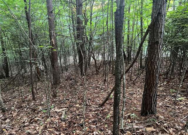 Property at 55 Ridge Run Rd, Boomer, NC 28606