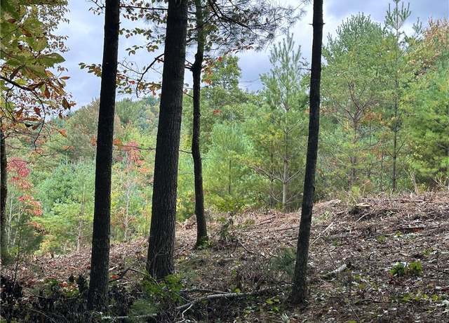 Property at Lot 26E Cascade Run, Purlear, NC 28665