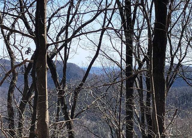 Property at TBD Rhododendron Rd, Hillsville, VA 24343