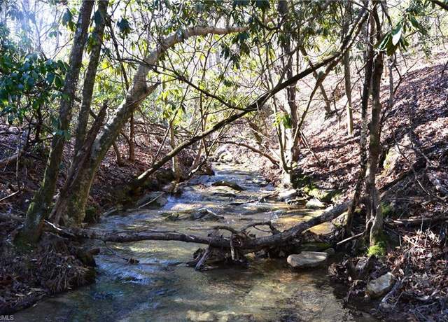 Property at 118 acres - Hanging Rock Park Rd, Danbury, NC 27016