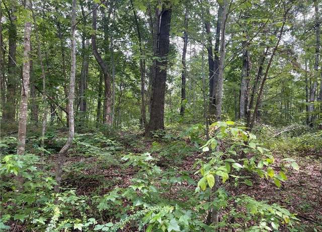 Property at LT 17 Old Mill Rd, Providence, NC 27315