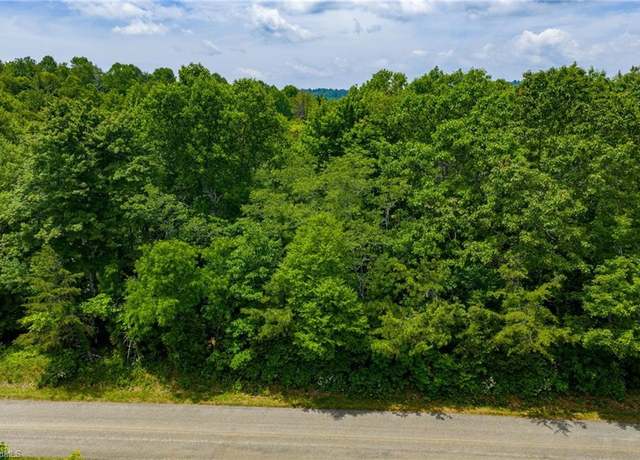 Property at TBD Air Bellows Gap Rd #5, Sparta, NC 28675