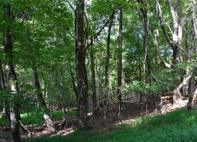 Property at 00 Hanging Rock Forest Rd Unit Tract F (11.4 AC), Danbury, NC 27016
