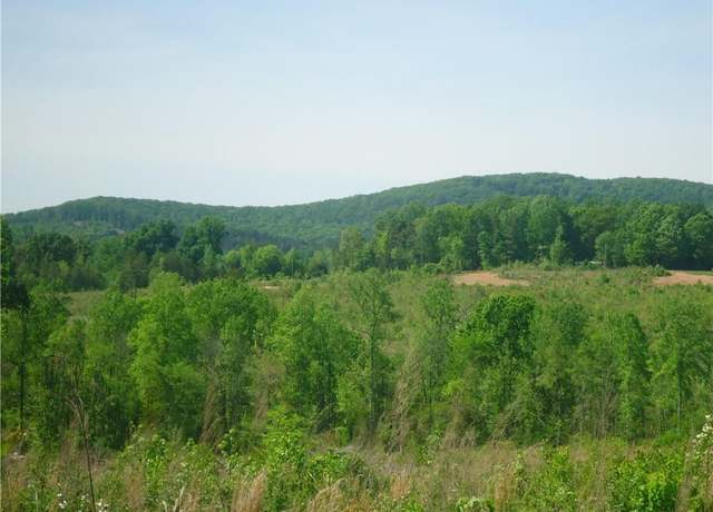 Property at 0 Farmer Denton Rd, Denton, NC 27239