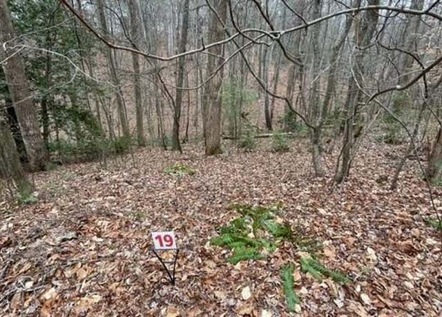 Property at Lot 19 Woods Haven Ln, Stuart, VA 24171