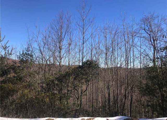 Property at TBD Fletchers Cove Rd, Purlear, NC 28665