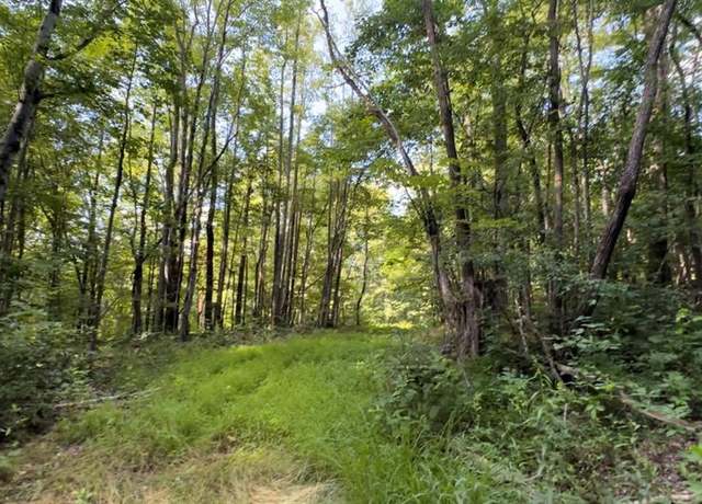 Property at TBD-3 Peter Mabe Rd, Danbury, NC 27016