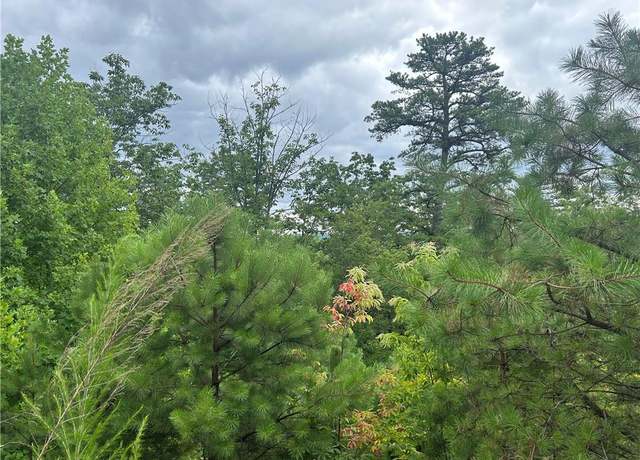 Property at tbd Lobelia Ln, Boone, NC 28607