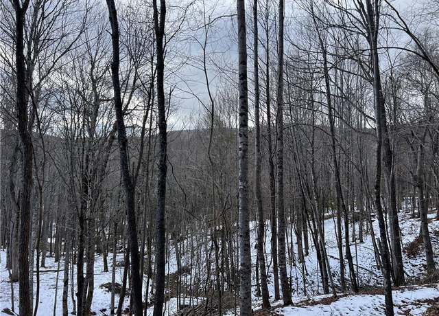 Property at Undisclosed address, Boone, NC 28607