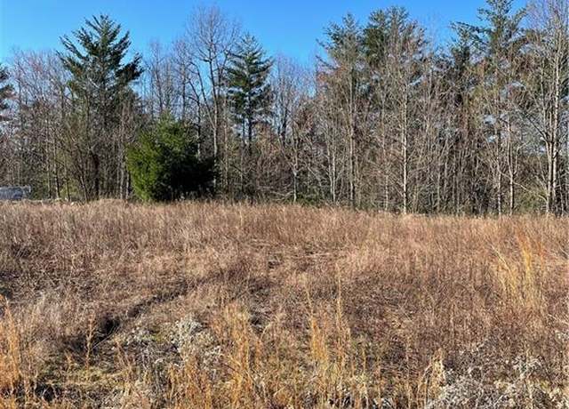 Property at 0 Lump Rd, Purlear, NC 28665