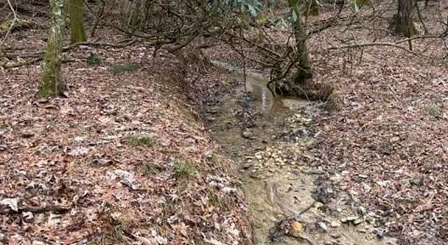 Photo of 514 Sylvan Rd, Thurmond, NC 28683
